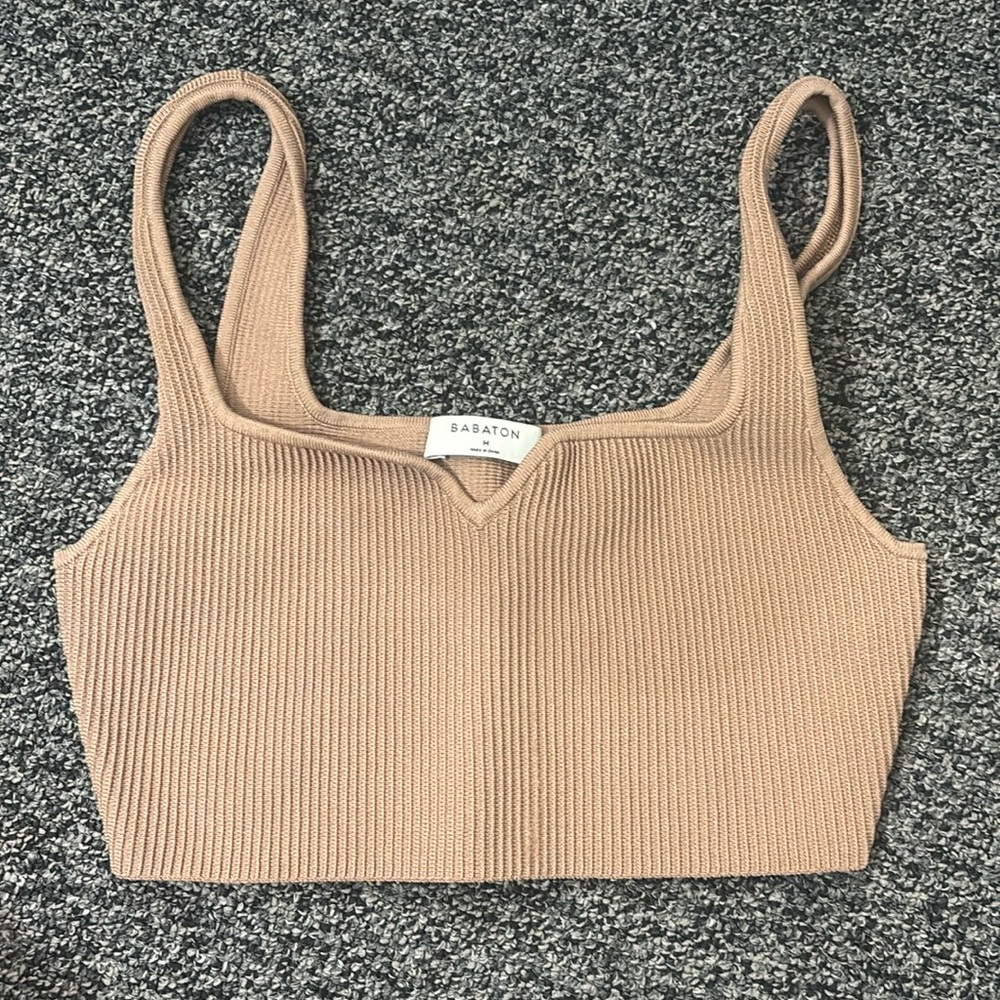 Aritzia top